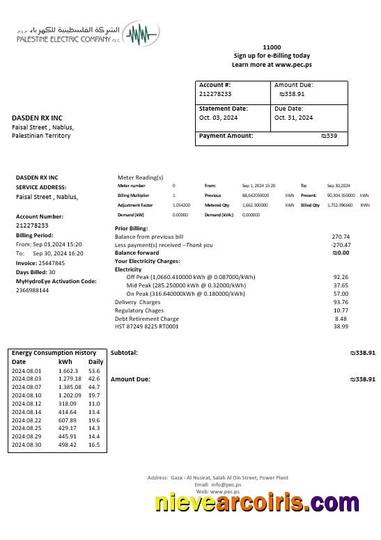 Palestine Electric Company (PEC) business utility bill